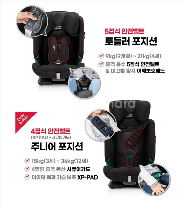 브라이텍스 어드밴스픽스 아이사이즈--8