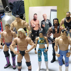 wwe. 7차 피규어 정리