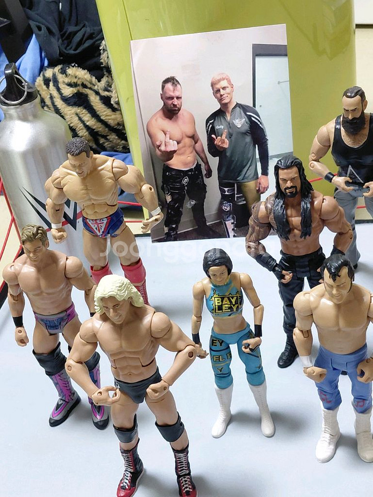 wwe. 7차 피규어 정리--1