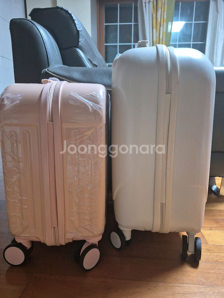 캐릭터 콜라보 캐리어 개당--2