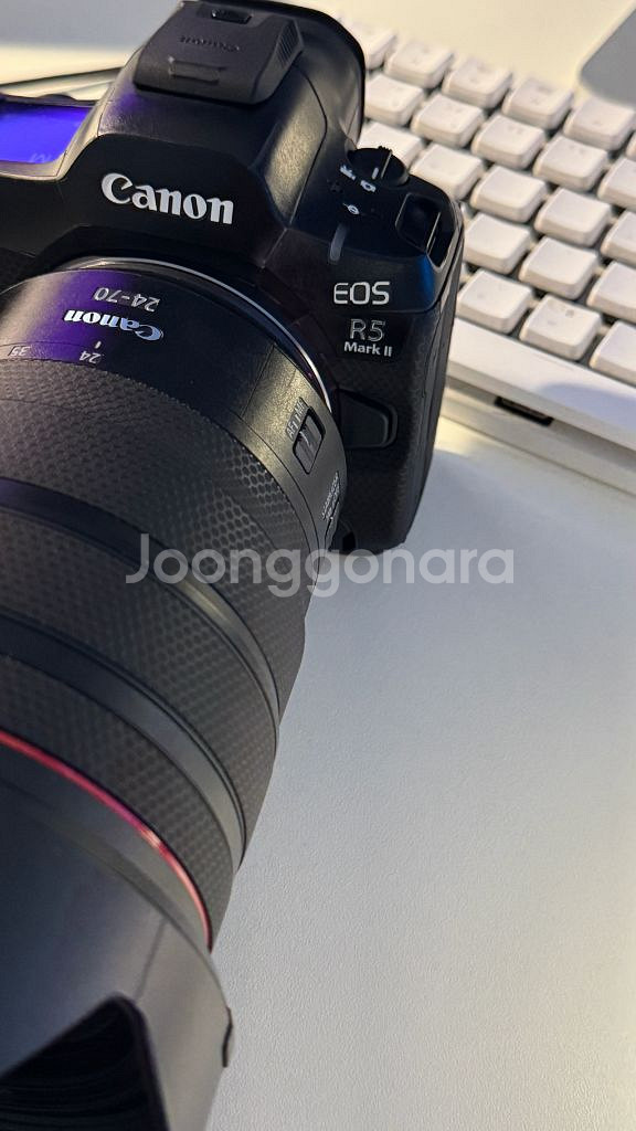 캐논 R5 markII + RF 24-70 F2.8--1