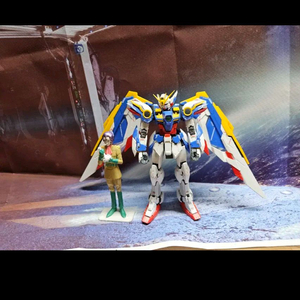 rg 윙건담