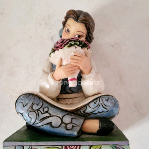 연뮤 윤승우 폴라