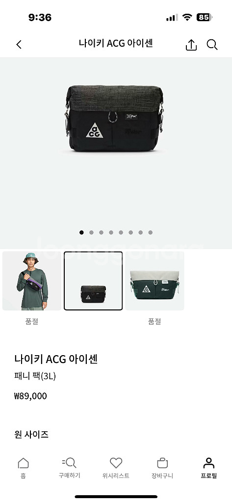 나이키 ACG 아이센 패니 팩--4