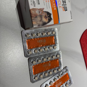 에피클