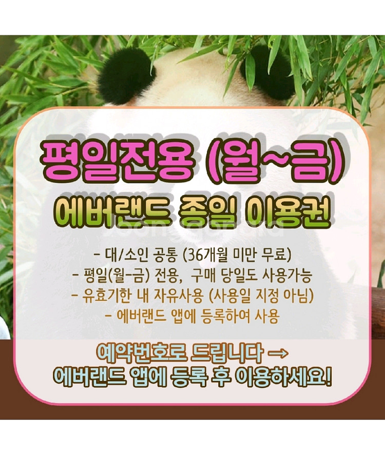 (에버랜드) 평일 종일 자유이용권--0