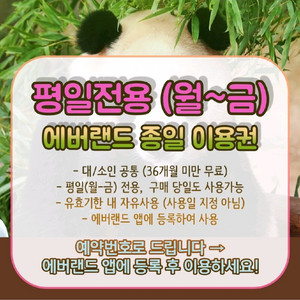 (에버랜드) 평일 종일 자유이용권