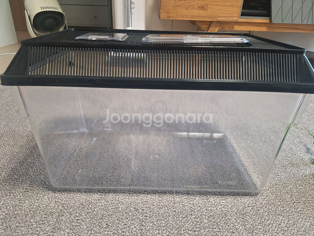 사각채집통 왕대사이즈 플라스틱 어항--0