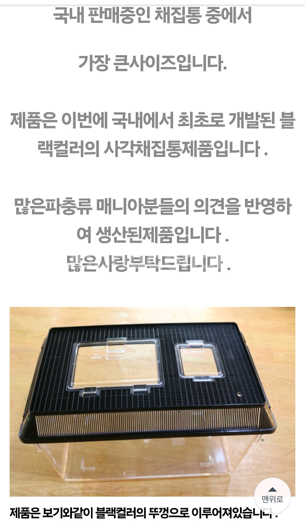 사각채집통 왕대사이즈 플라스틱 어항--3