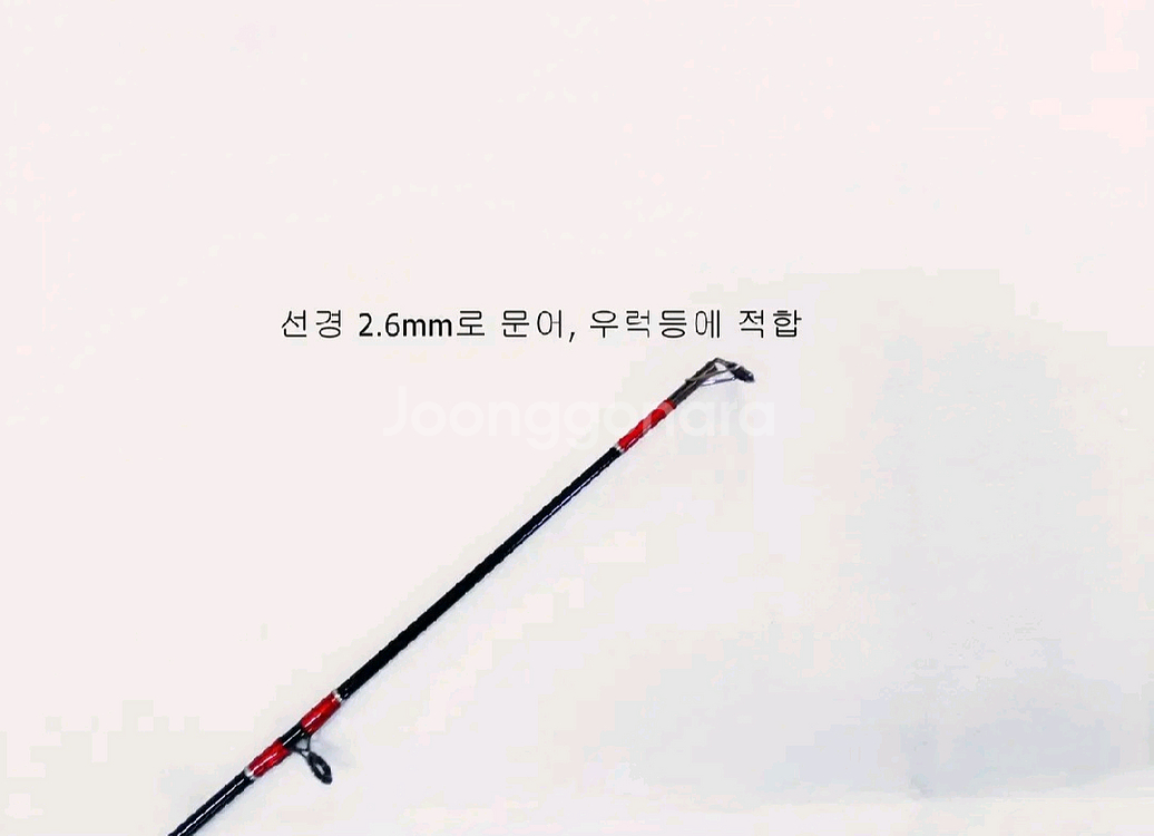 광어,문어,우럭,참돔,농어,카본낚시대+4000번릴+합사--1