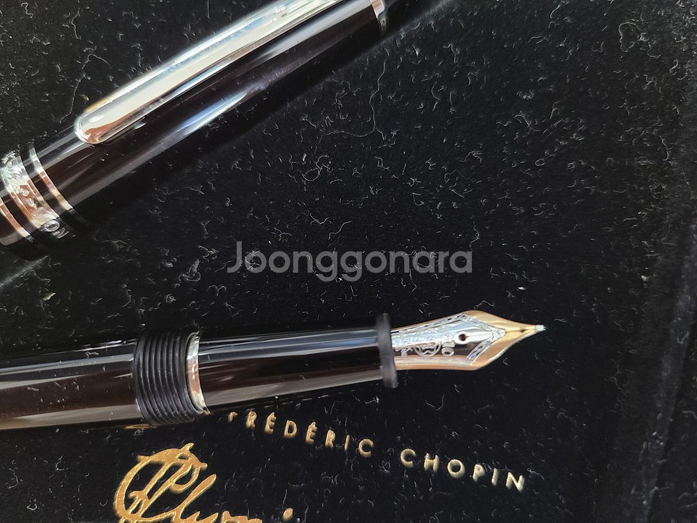 몽블랑 만년필 p145 마이스터스튁 쇼팽 에디션--4