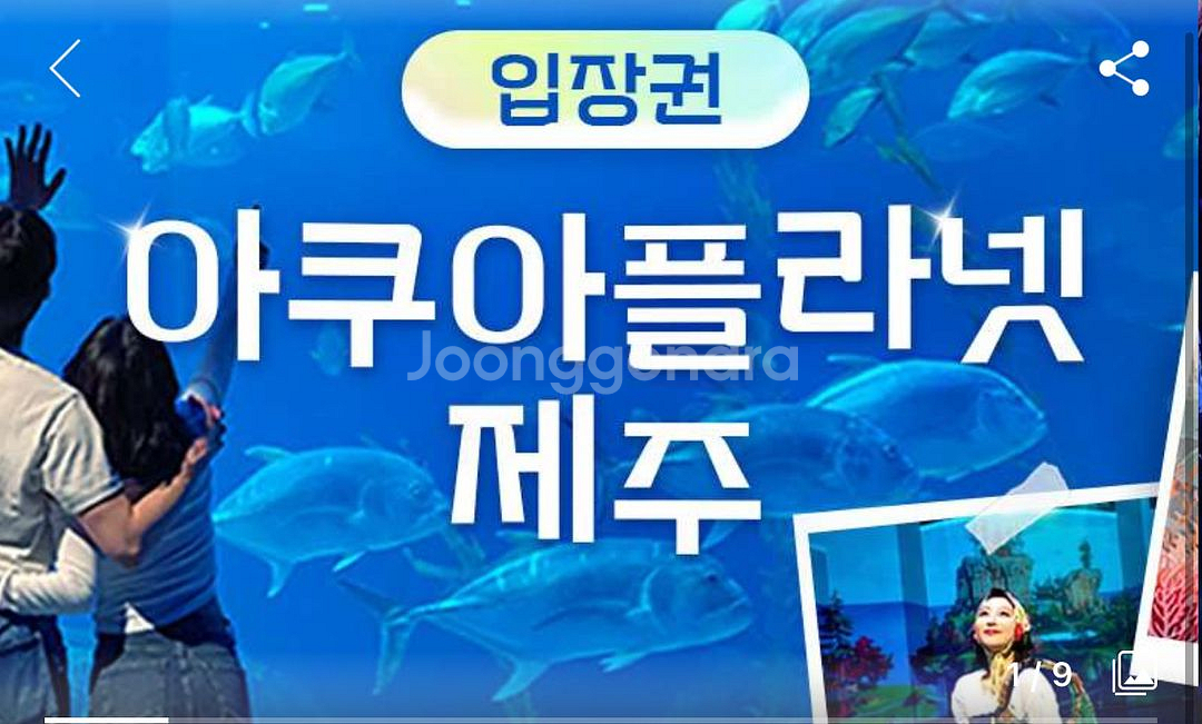 제주 아쿠아리움 아쿠아플라넷 티켓 3장팝니다--0