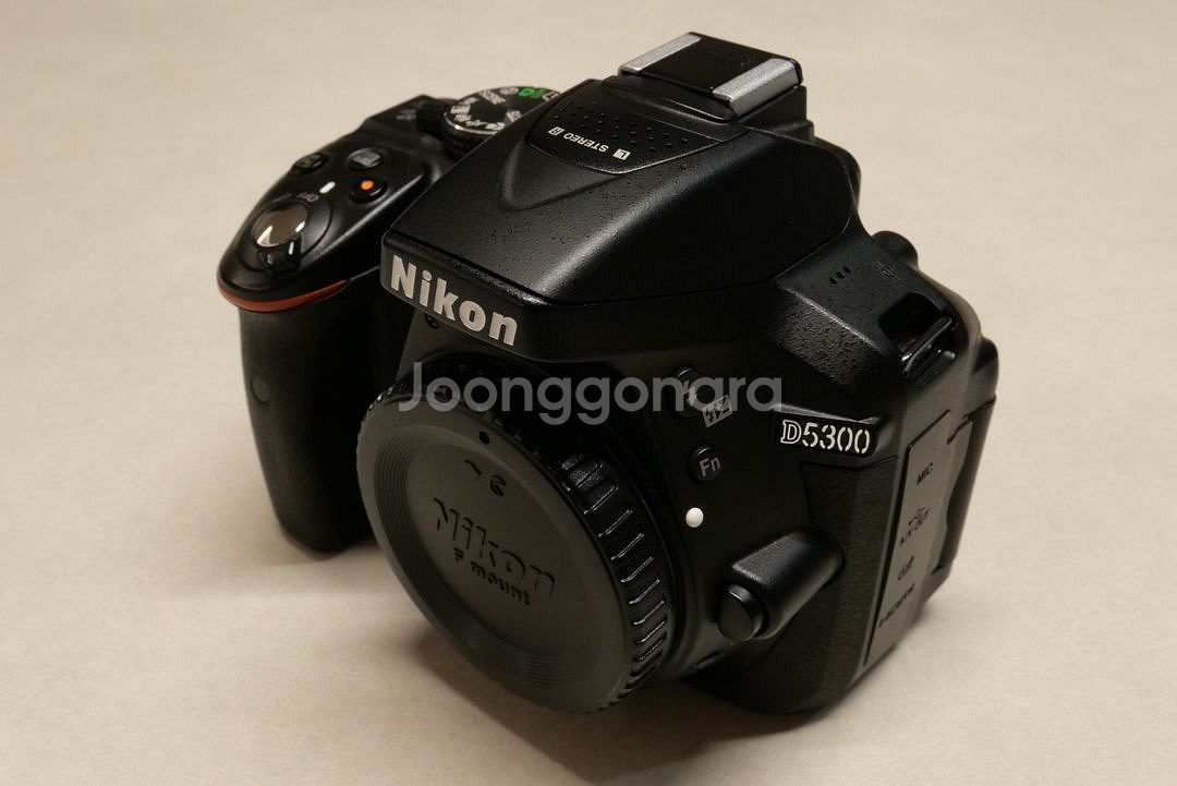 니콘 DSLR D5300 + 렌즈2개(단렌즈,번들렌즈)--0
