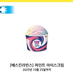 배스킨라빈스 파인트