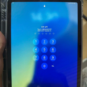 아이패드 에어 m3 256 셀룰러