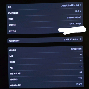 아이패드 프로 11인치 7세대 m4 2tb