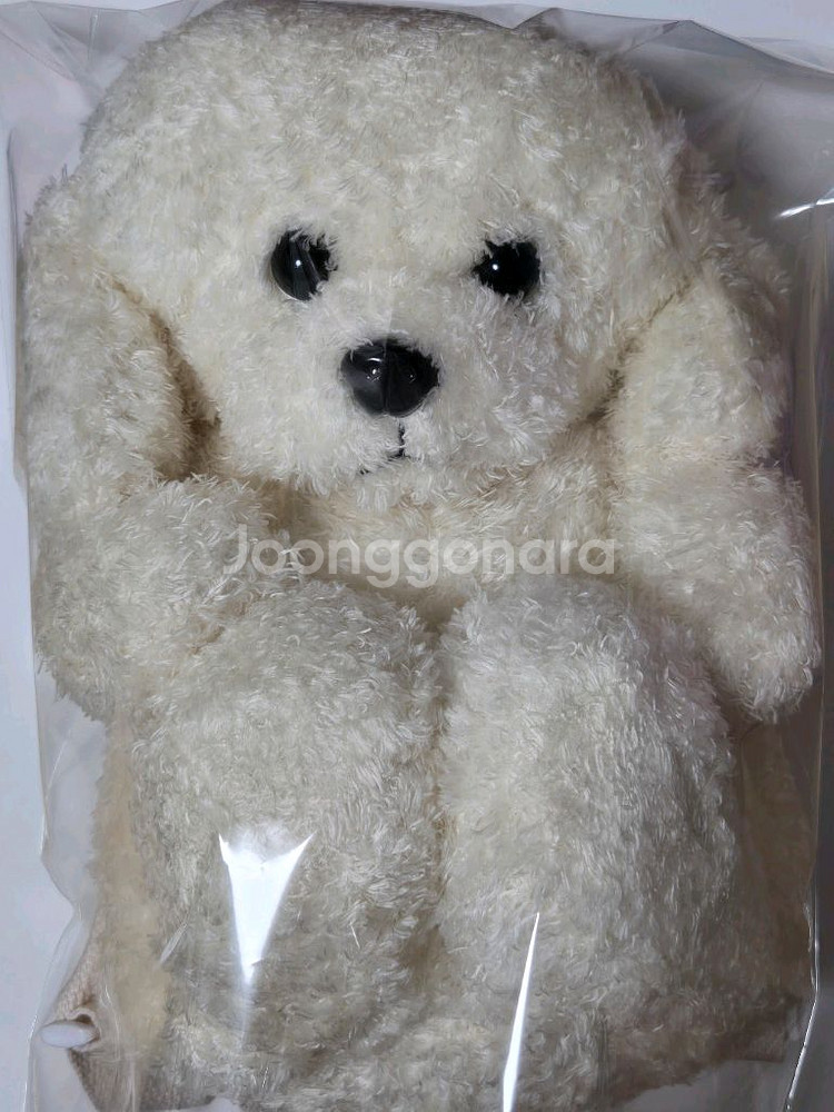 케어베어 뽀양이 숀더쉽 푸들 와사비베어 인형 가방--0