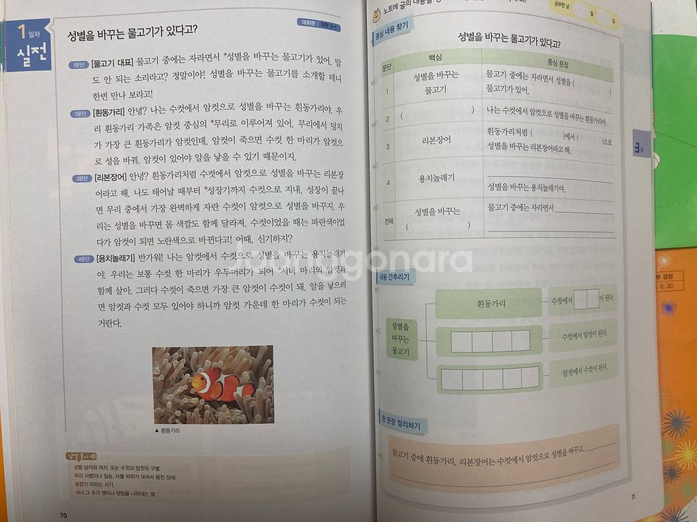 비타민독해력1.2.3단계, 한문장 정리의 힘--1