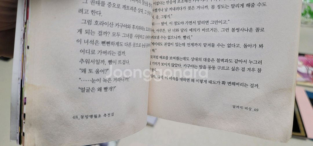 동방프로젝트 서적 맹월초,달의이나바,문화첩,일러카드등--7