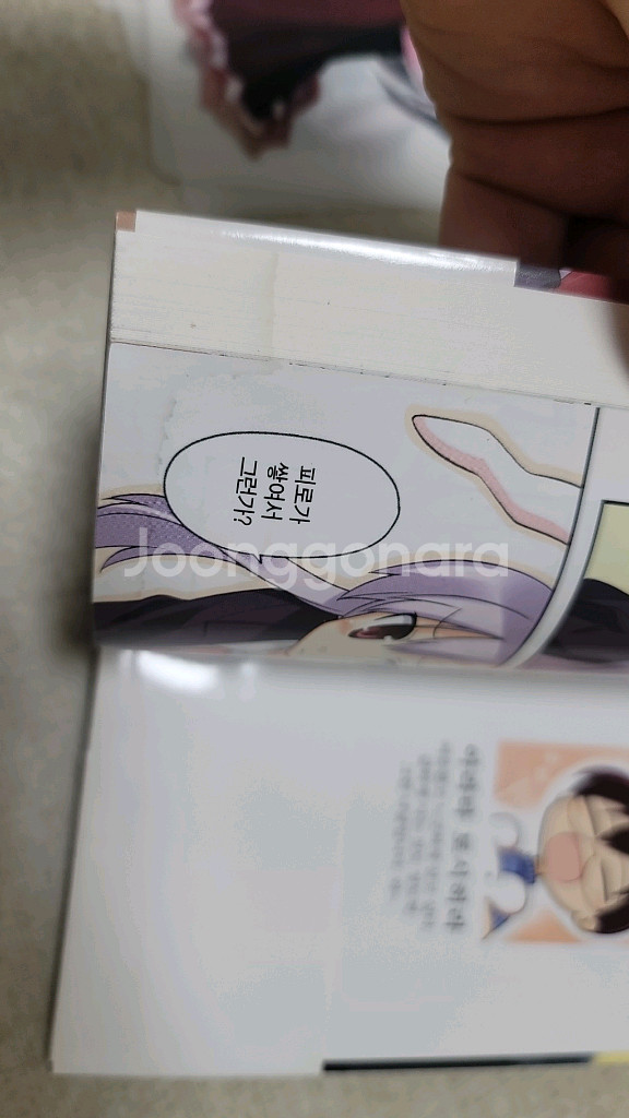 동방프로젝트 서적 맹월초,달의이나바,문화첩,일러카드등--8