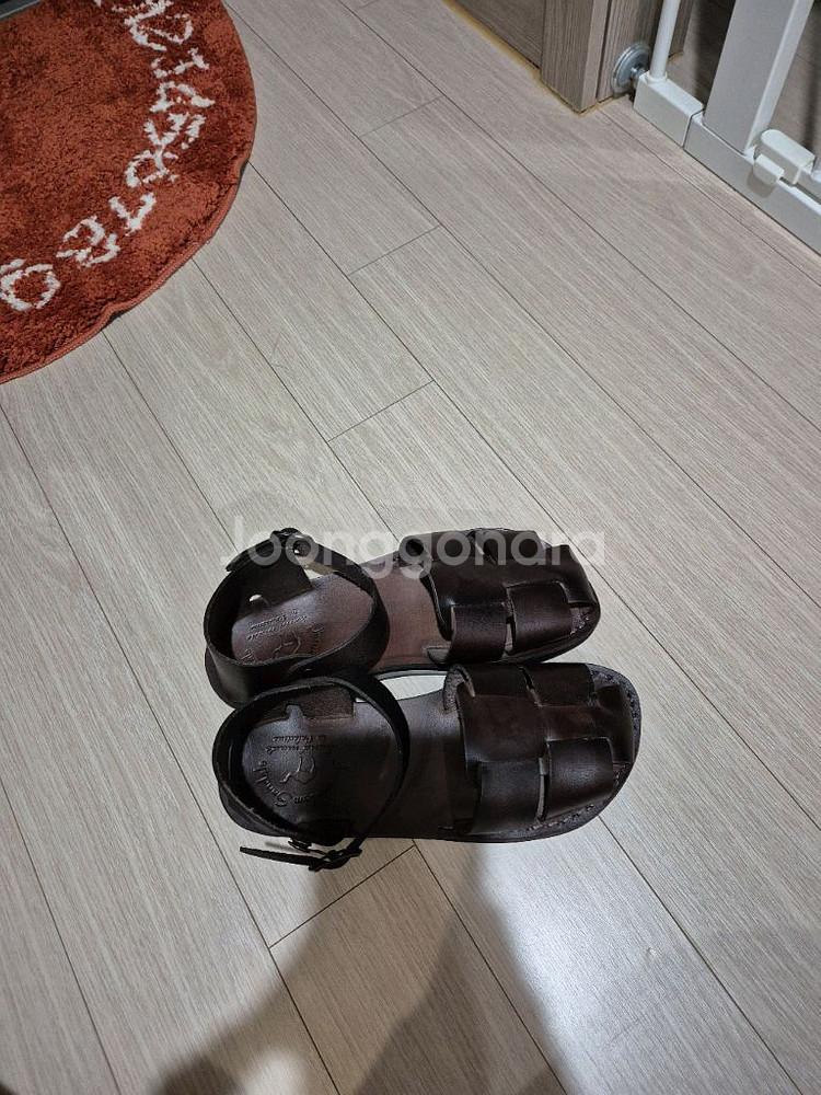 예루살렘 젬마--1