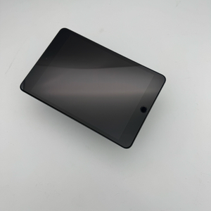 아이패드미니5 셀룰러 64GB