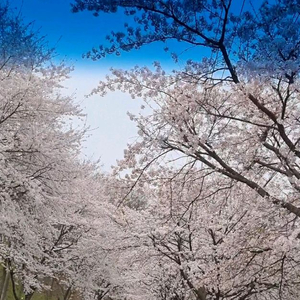 쥬씨 2천원권 2장 총 4천원