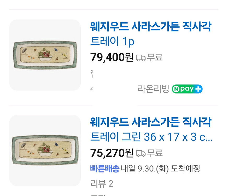 웨지우드 시라스가든 직사각접시--0