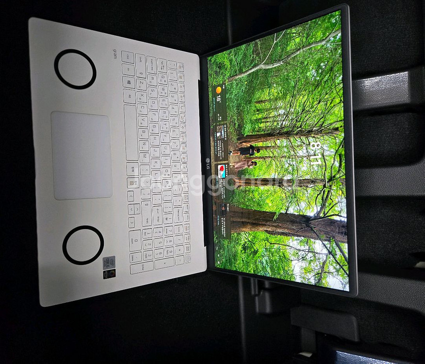 엘지 그램 i5--1