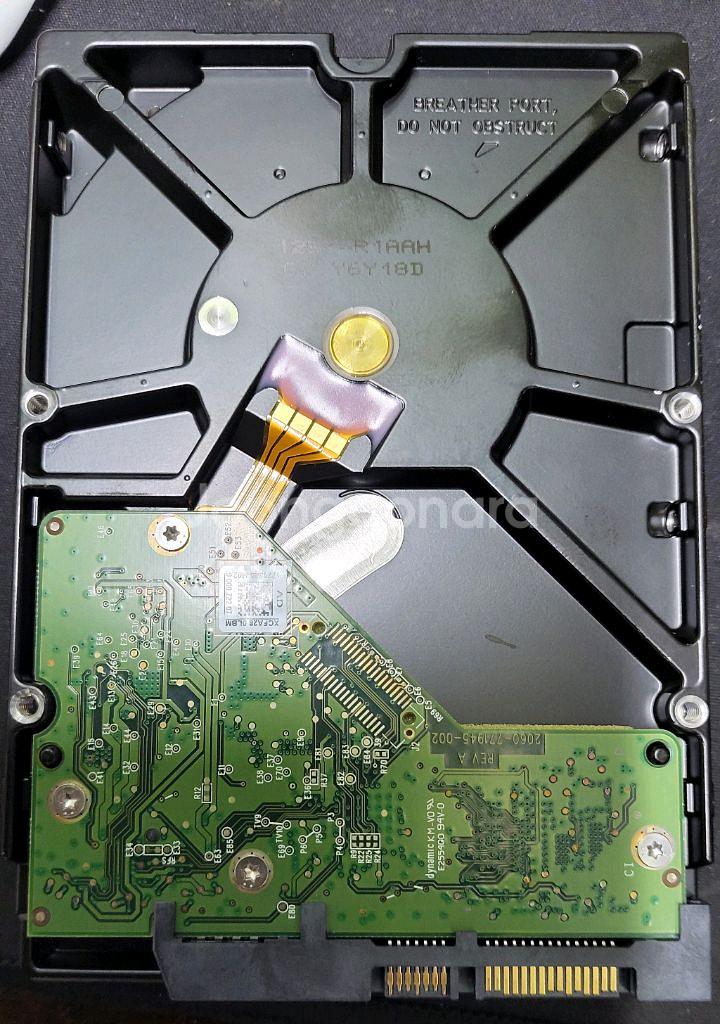 웨스턴디지탈 퍼플 2테라 하드디스크 WD PURPLE--3