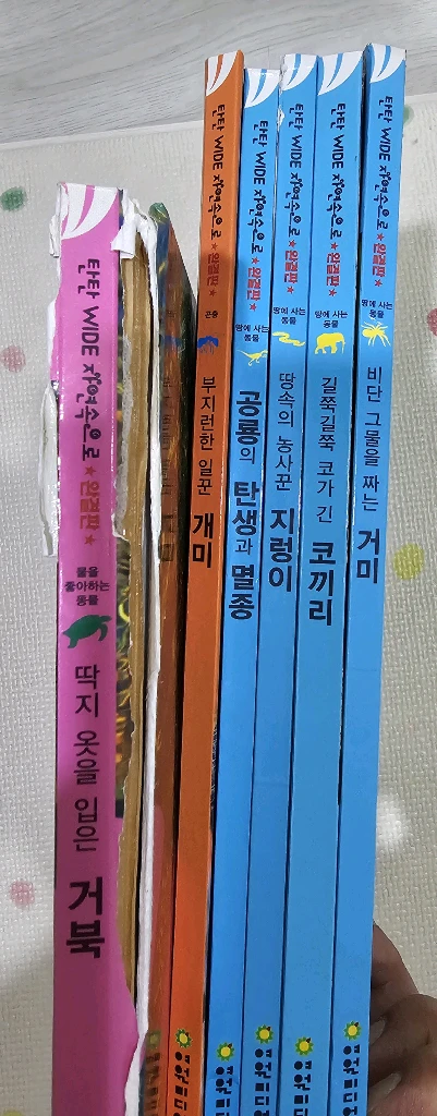 탄탄 와이드 자연속으로 완결판 이미지