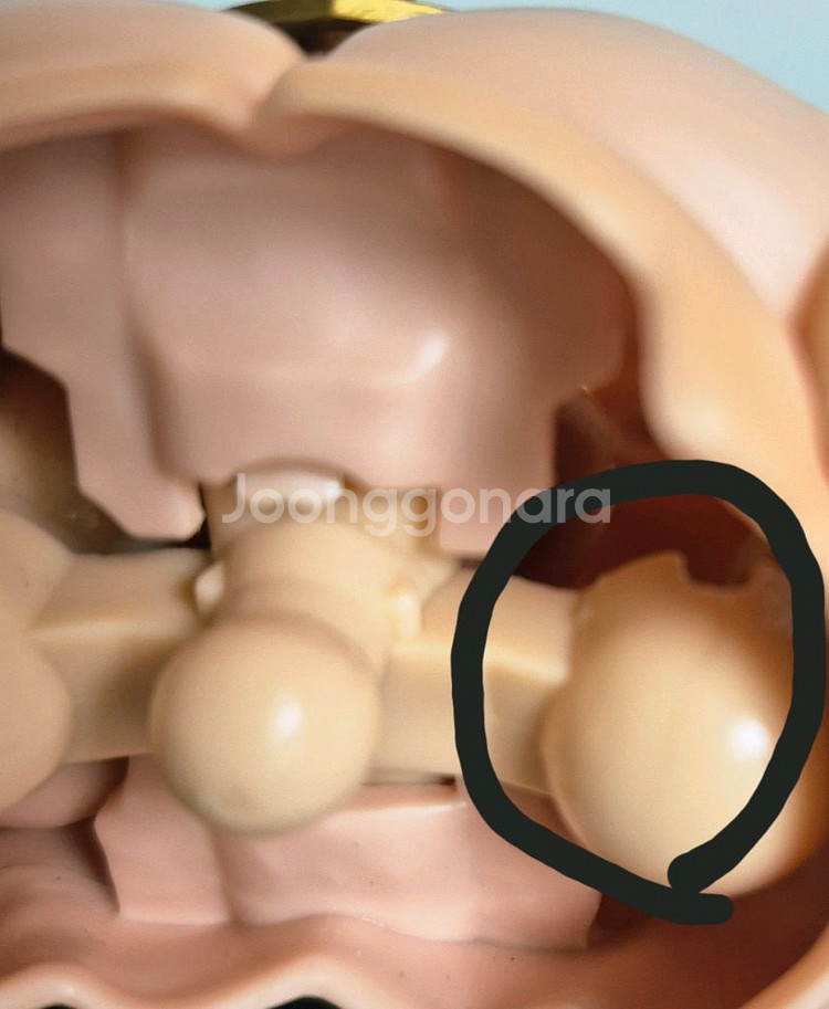 콩스튜디오 브로리(하자) 판매합니다--3