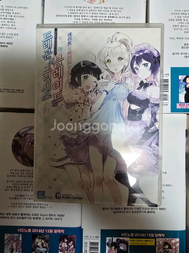 라노벨 드래곤X프린세스X블레이드 1~10권 + CD--2