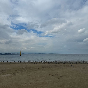 벤큐 XL2411k 구미 삽니다 이미지