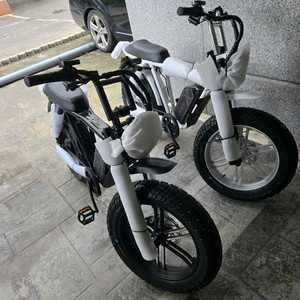 엑스라이더 X200 Pro 자토바이 새제품 판매합니다