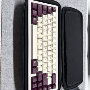 qk65 v1 화이트/블루, pbtfans 키캡