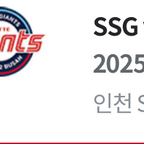 정가이하 9월29일 롯데vsSSG(인천)원정응원석2연석