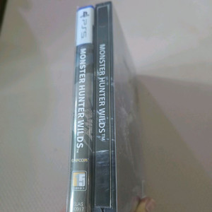 ps5 게임 몬스터헌터 와일즈