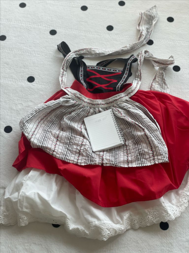 할로윈 코스튬 하이디 원피스 이미지