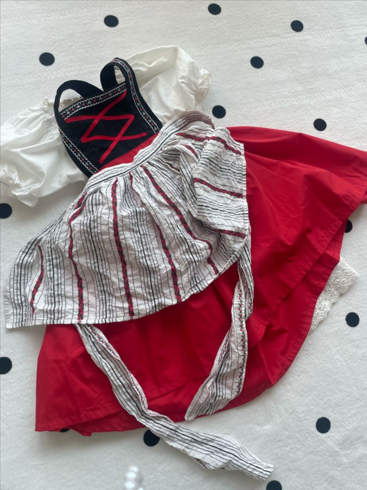 할로윈 코스튬 하이디 원피스 이미지