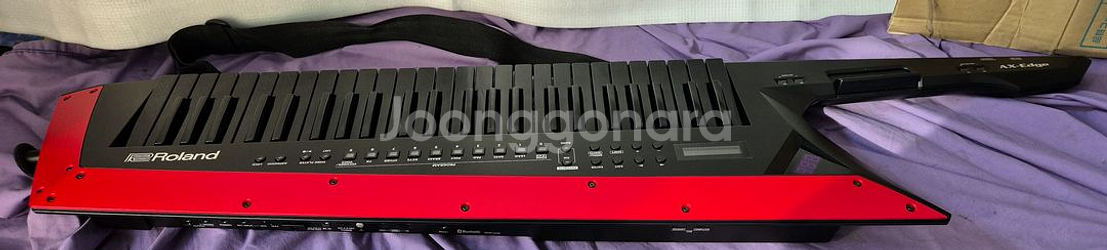 Roland 로랜드 AX-엣지 블랙 팝니다--4
