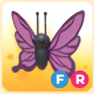 입양하세요 FR 보라 나비