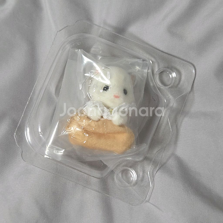 실바니안 쿠지 C상허스키 불독--3