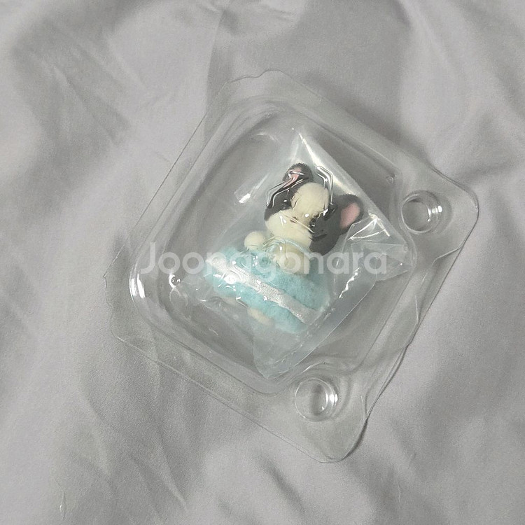 실바니안 쿠지 C상허스키 불독--2