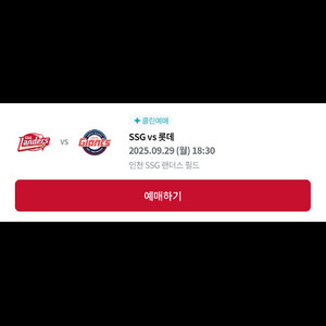 [제시] 9/29 SSGvs롯데 내필 & SKY 각2매