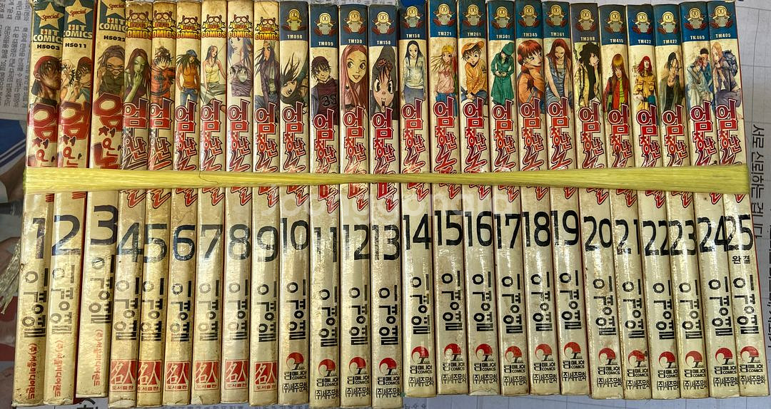 만화4 충사,식령,닌자보이,마법선생네기마, 니들리스 등--8