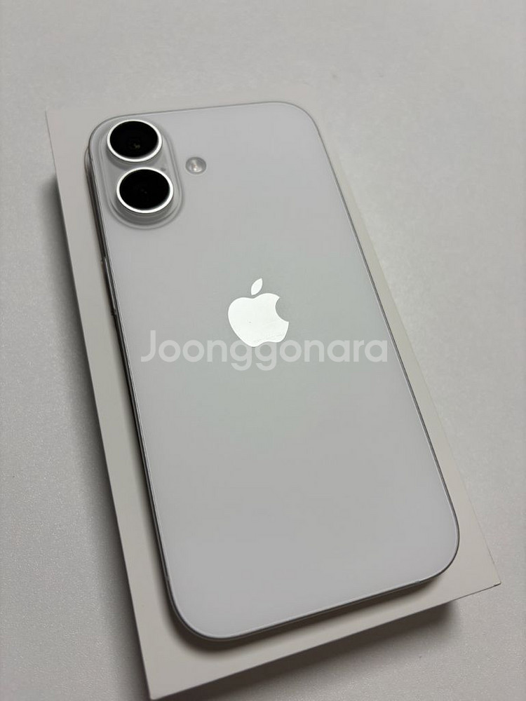 아이폰16 256기가 배터리100--0