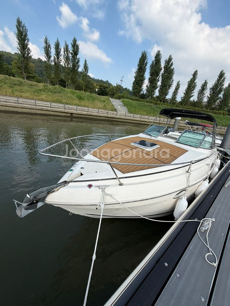 (린커)RINKER 250 Fiesta Vee하우스보트--1