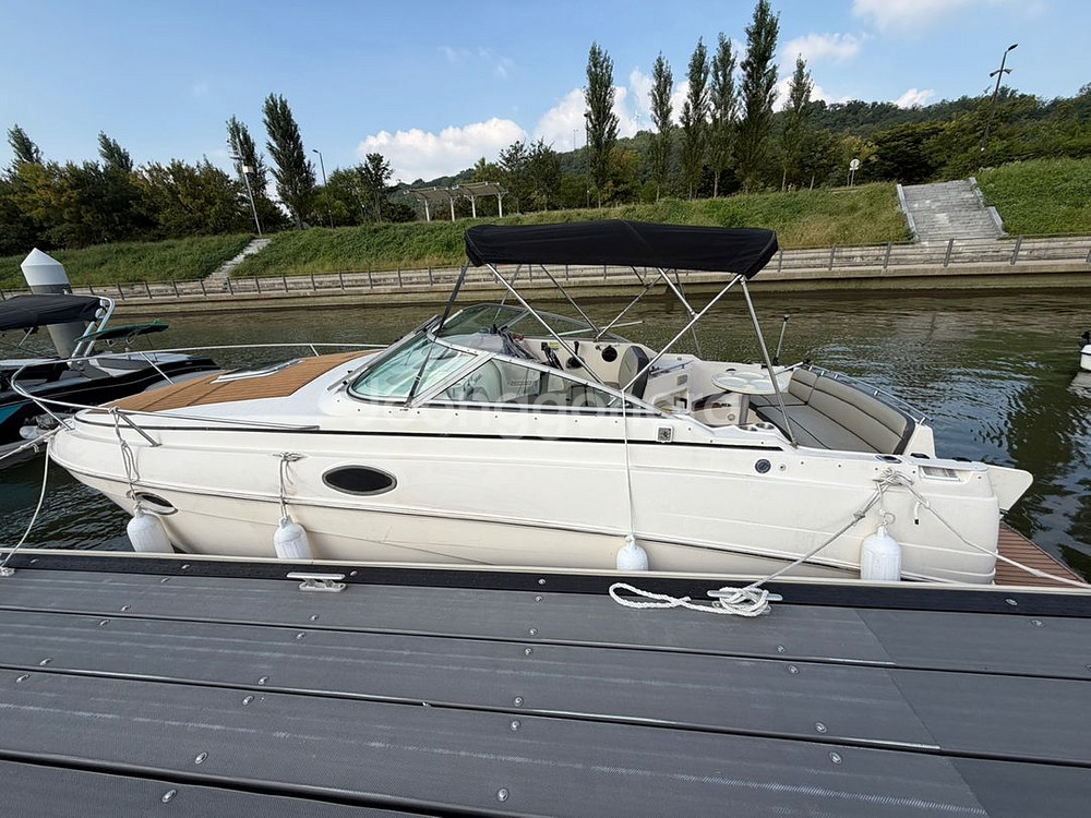 (린커)RINKER 250 Fiesta Vee하우스보트--2