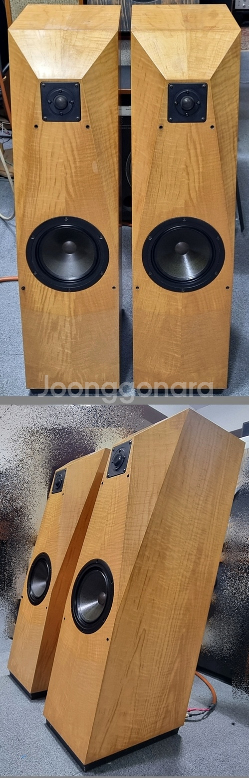 아발론 이클립스(Avalon Eclipse) 스피커--0